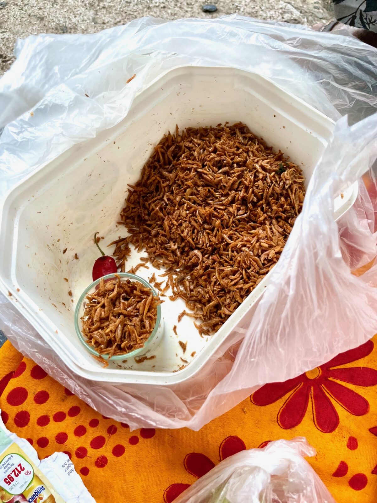 Mauritian small wild river shrimp in plastic container