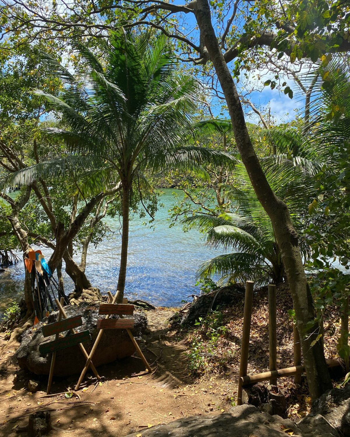 Otentik Eco Tent Mauritius - River and palm trees view